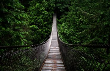 Terego, un pont tendu vers votre réussite.