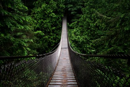 Terego-pont-suspendu Terego, un pont tendu vers votre réussite.