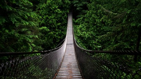 Terego, un pont tendu vers votre réussite.