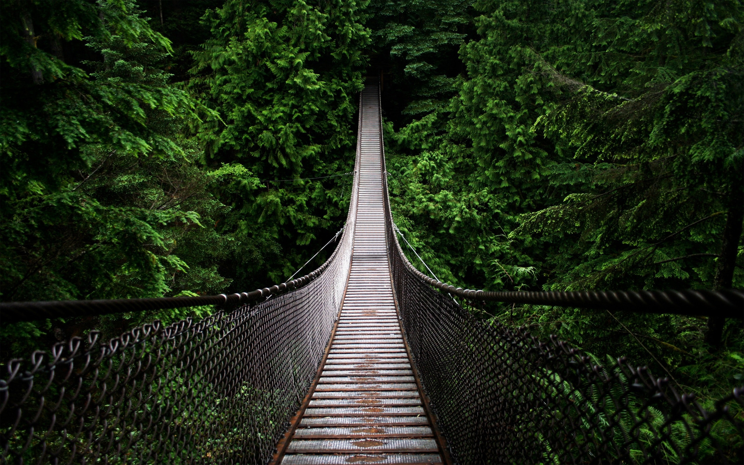Terego, un pont tendu vers votre réussite.