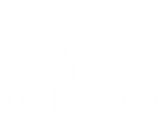 Terego | COACHING • FORMATION • ORIENTATION • GESTION DE CARRIERES